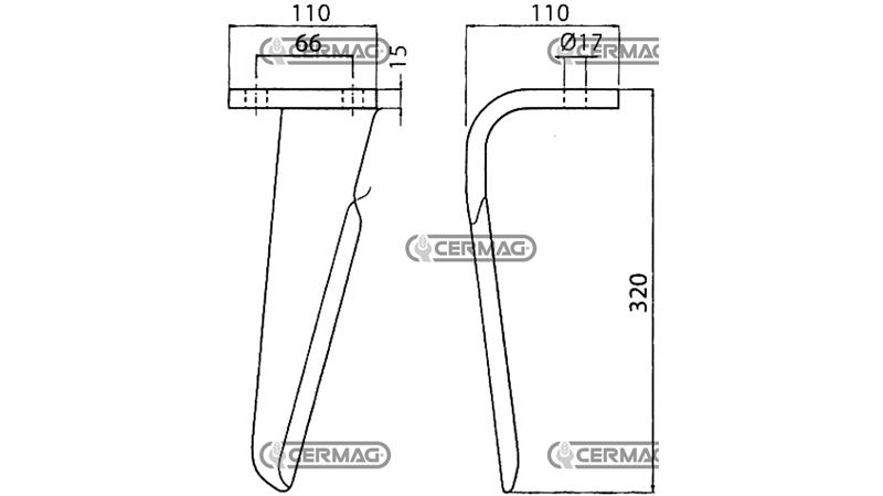 DENTE ERPICE