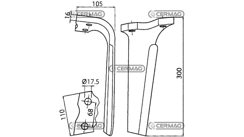 DENTE ERPICE