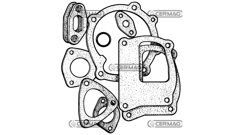 KOMPLET ZA TESNJENJE VODNE ČRPALKE IN TERMOSTATA ZA FIAT-NEW HOLLAND