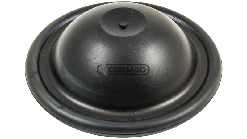 MEMBRANA